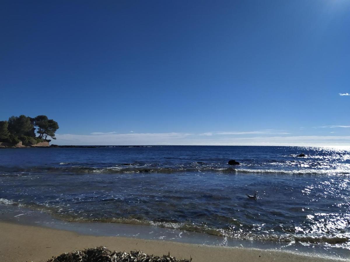 Studio Paradise entre mer et pins Saint-Raphaël Extérieur photo